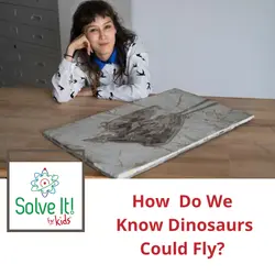 How Do We Know the Dinosaurs Could Fly?