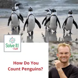How Do You Count Penguins?