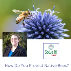 How Do You Protect Native Bees?