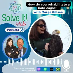 How Do You Rehabilitate a Bald Eagle?