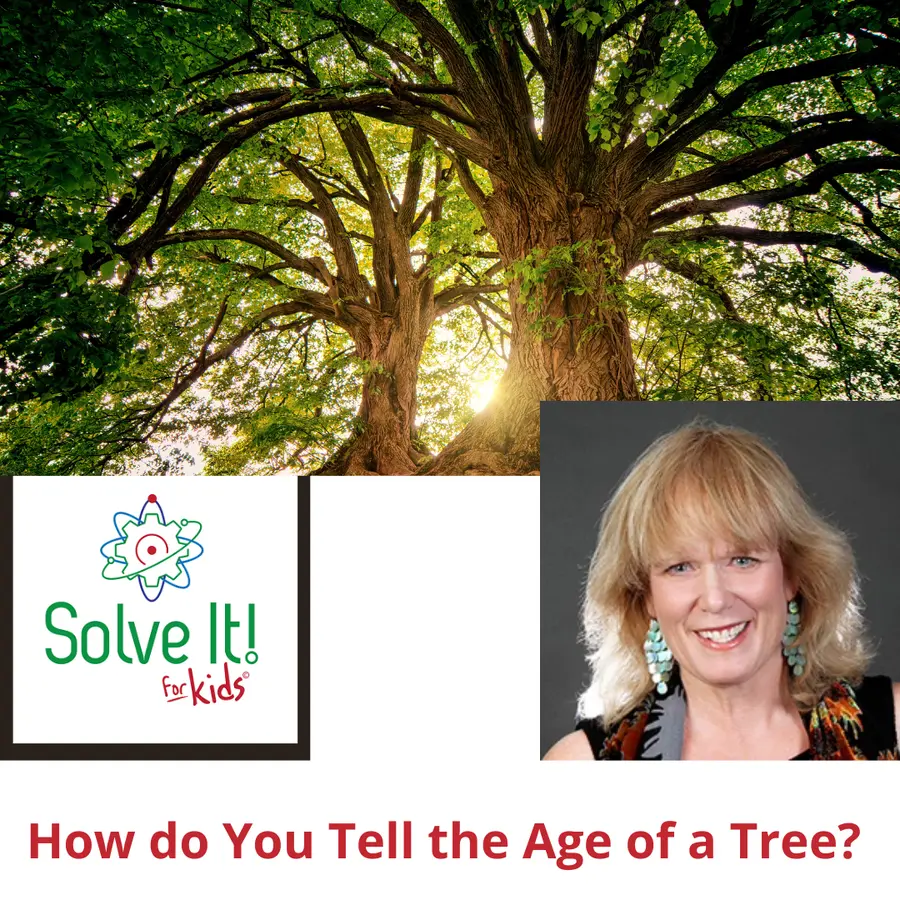 SolveItForKids Science podcast