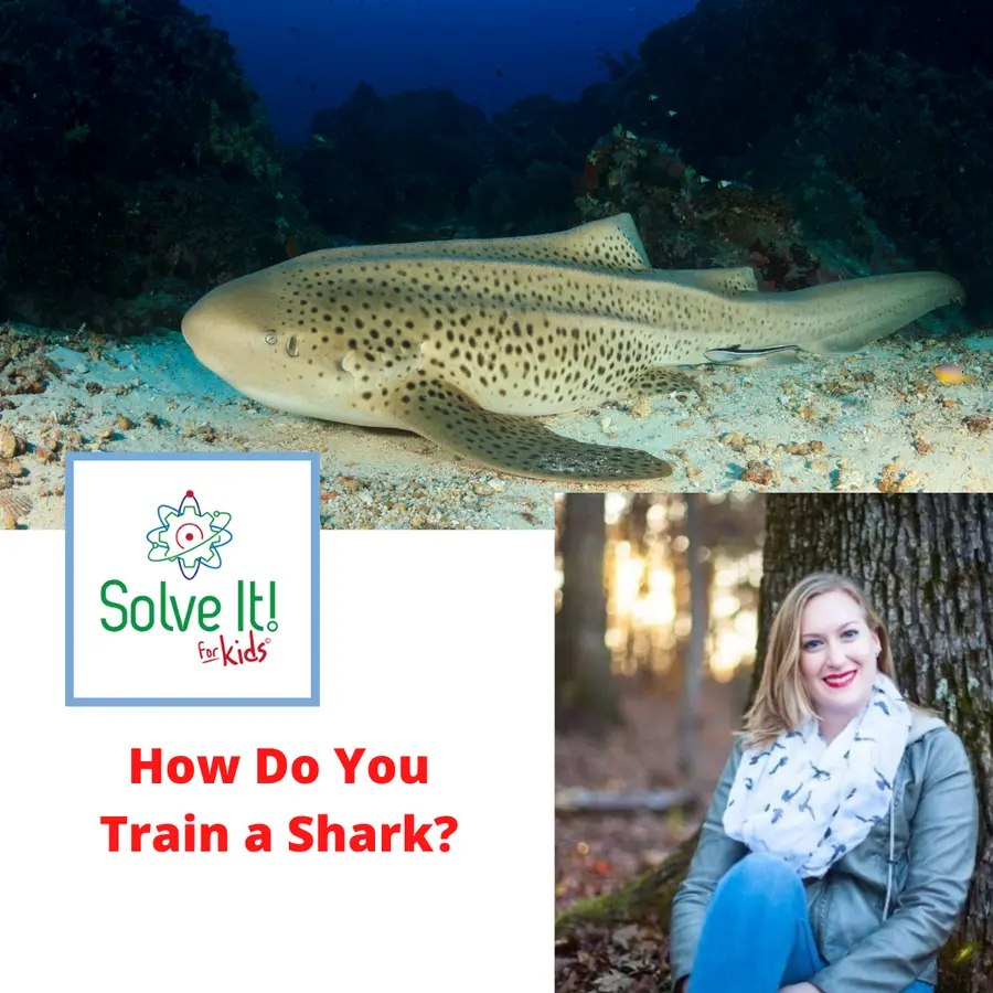 SolveItForKids Science podcast