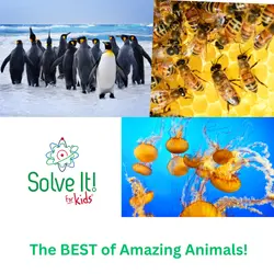 The BEST of Amazing Animals