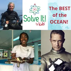 The BEST of the OCEAN... Again
