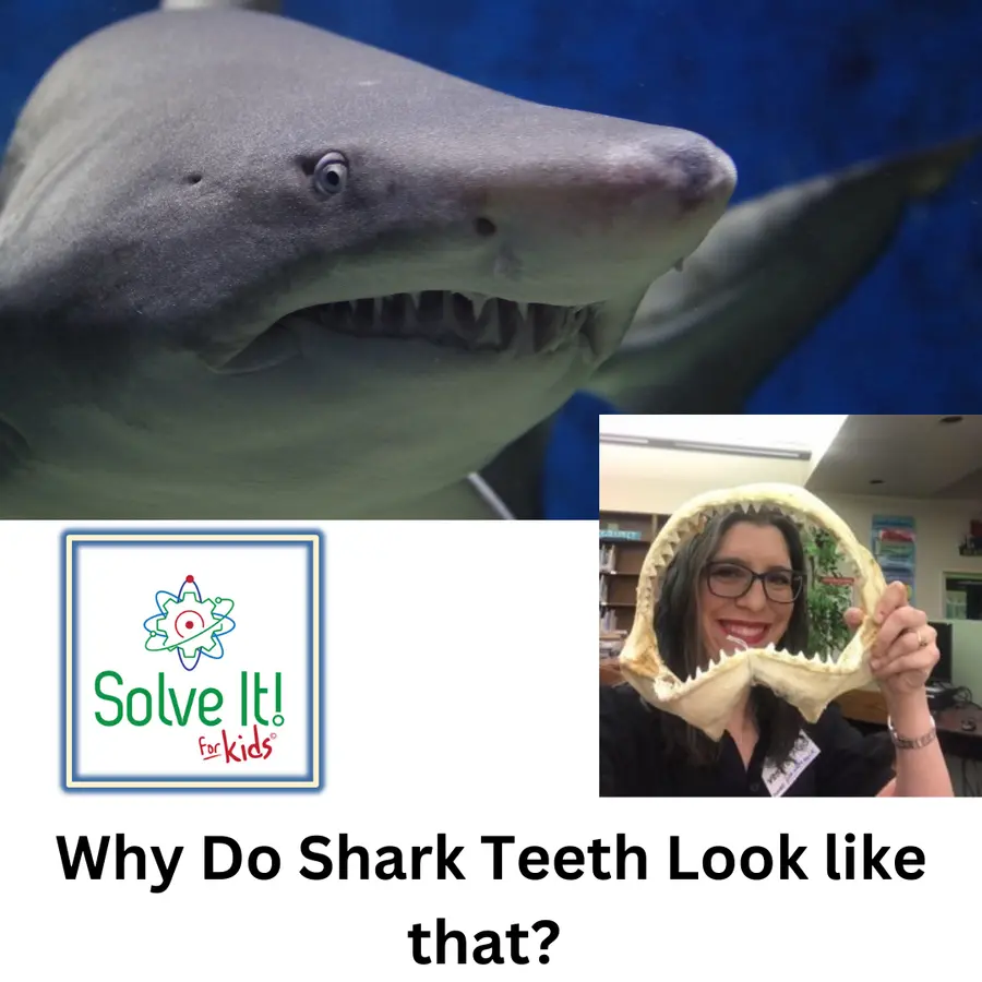 SolveItForKids Science podcast