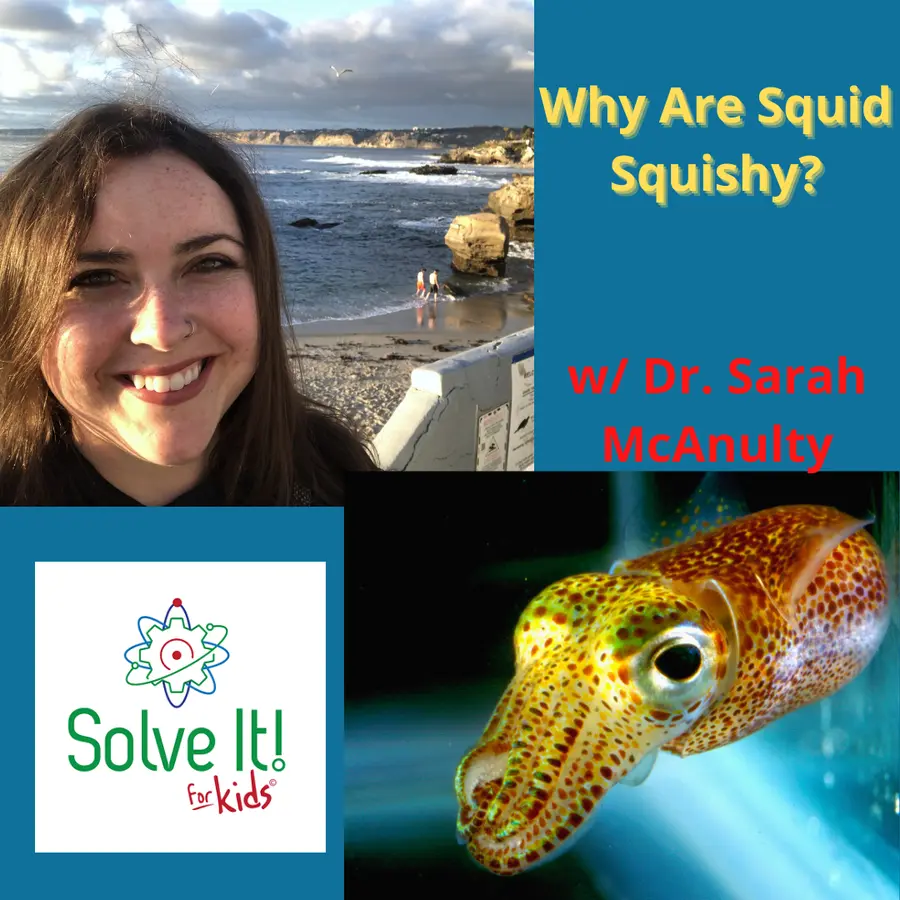 SolveItForKids Science podcast