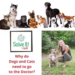 Why do Dogs and Cats need to  Go to the Doctor?