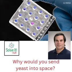 Why Would You Send Yeast into Space?