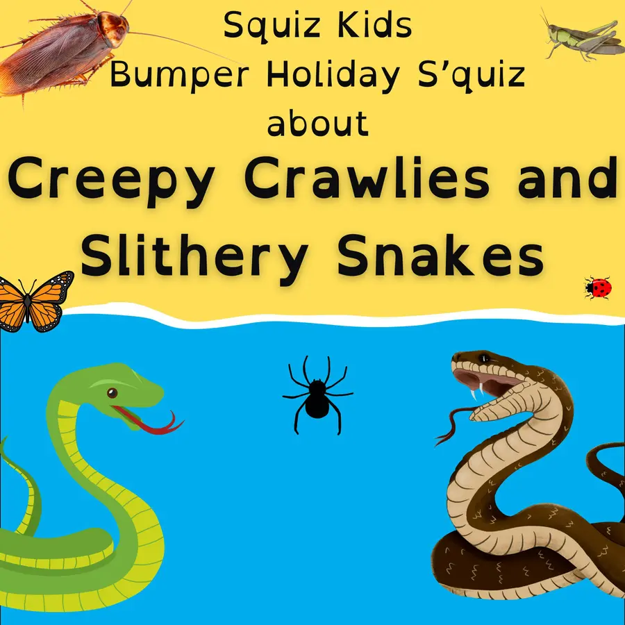 Squiz Kids