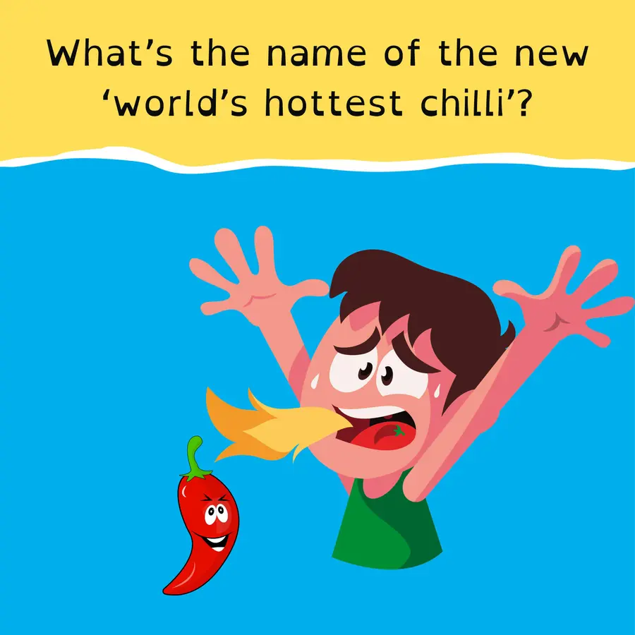 Squiz Kids