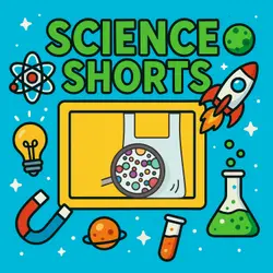 Why are microplastics everywhere - even inside us? Science Short