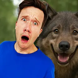 The Not So Scary Werewolf