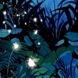 The Forest Fairy: Aphids Reveal Hidden Harmonies