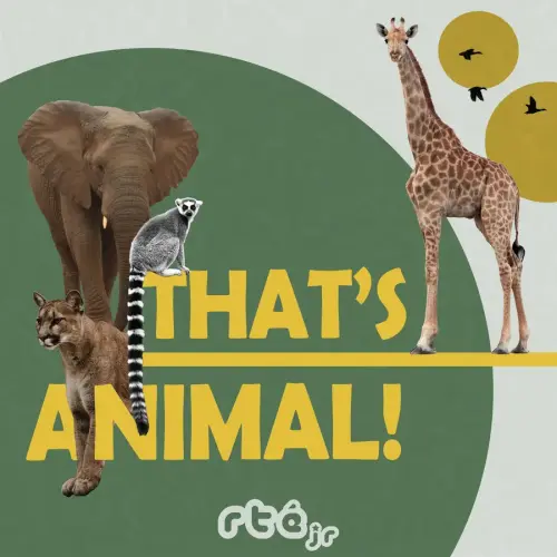 That's Animal