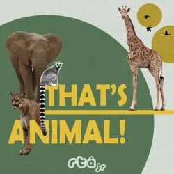 That's Animal