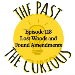 Lost Woods and Found Amendments