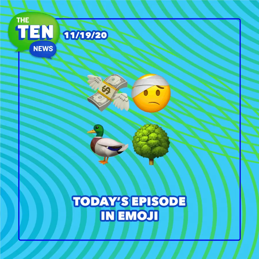 The Ten News, News For Curious Kids