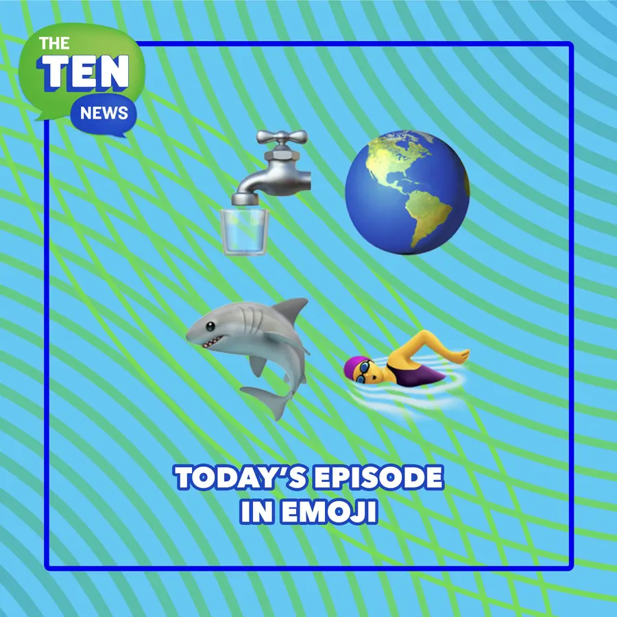 The Ten News, News For Curious Kids