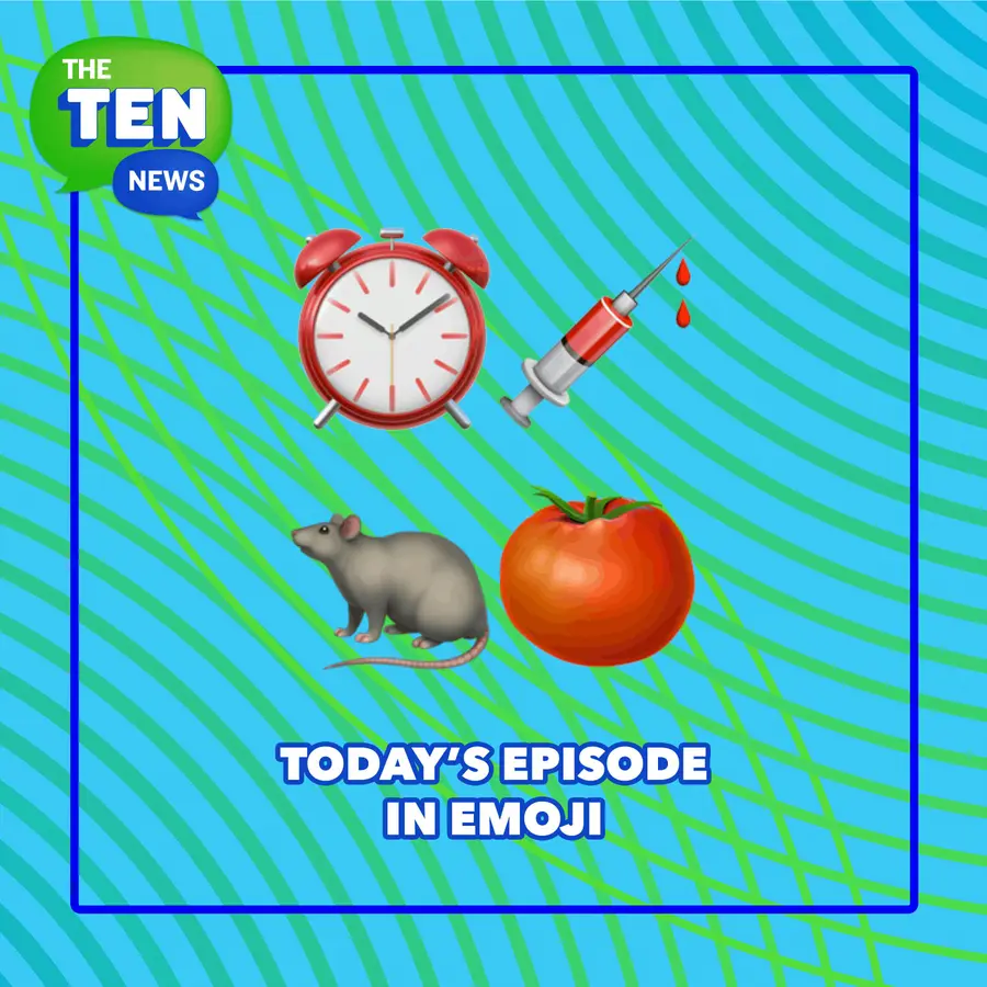 The Ten News, News For Curious Kids