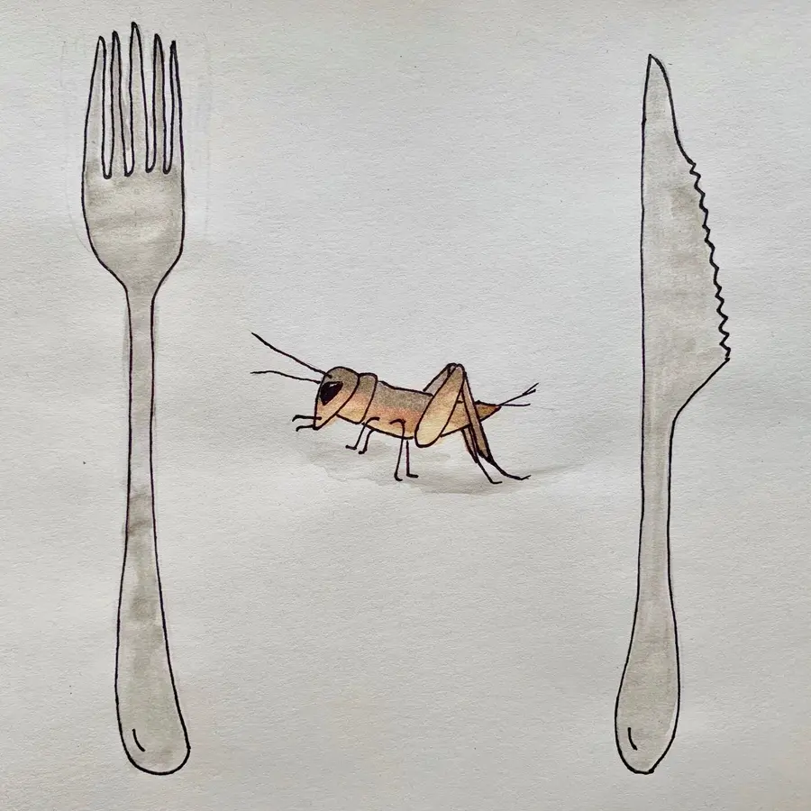 Time For Lunch