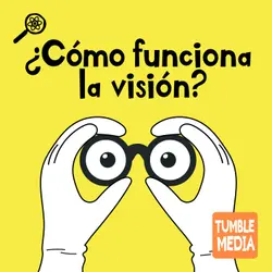 ¿Cómo funciona la visión?