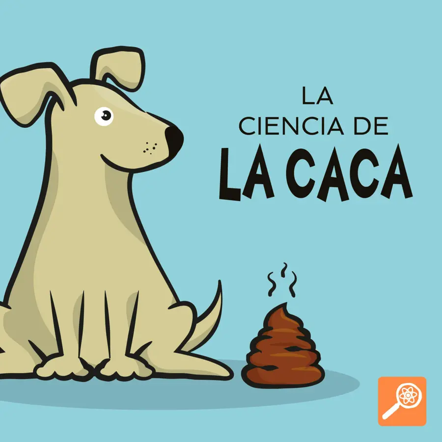 Tumble en Español