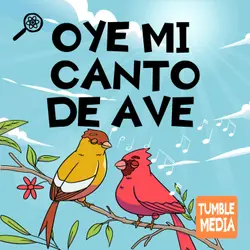 Oye Mi Canto de Ave