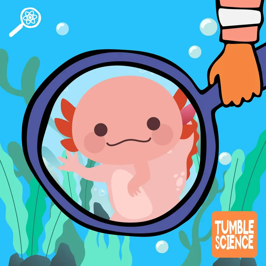 Tumble Science Podcast for Kids