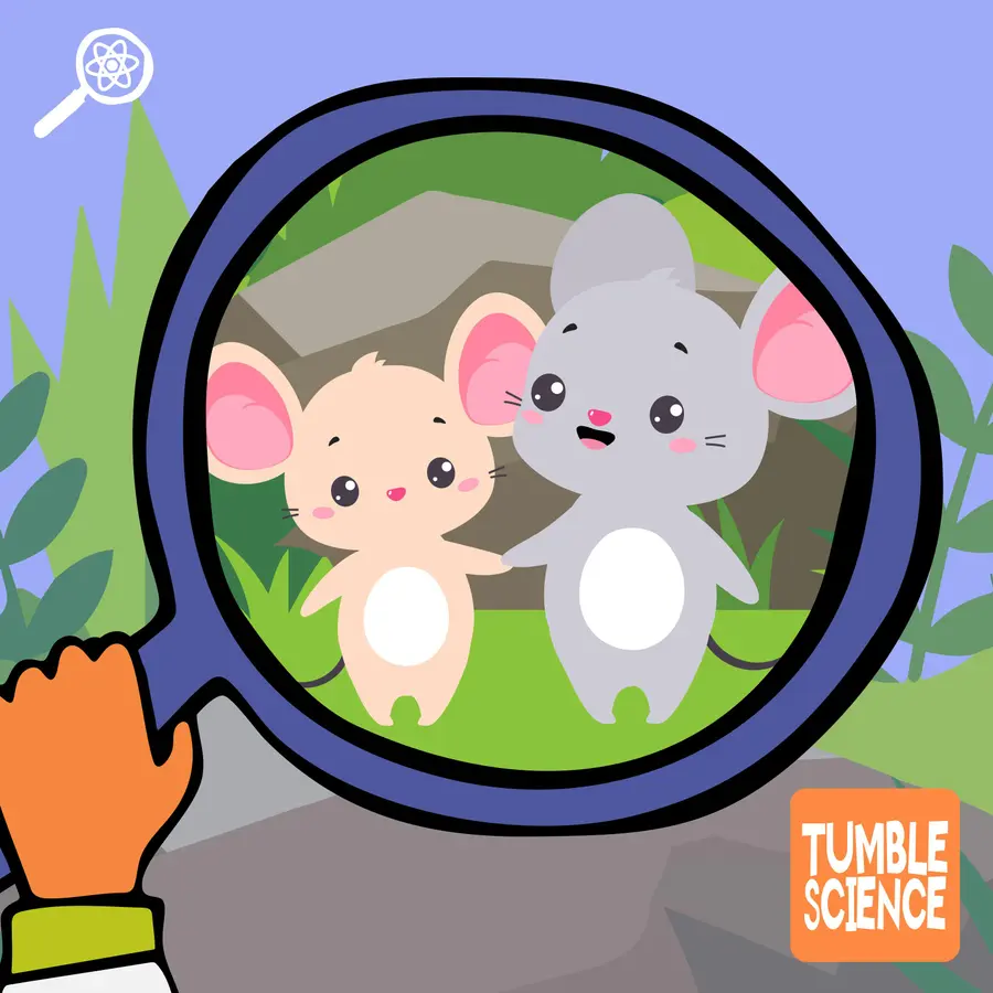 Tumble Science Podcast for Kids