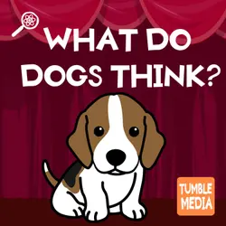 What Do Dogs Think?