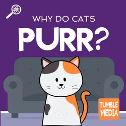 Why Do Cats Purr?