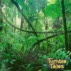 Ep. 2 - Rainforest Photo Safari