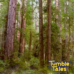 Ep. 9 - Forest Explorers