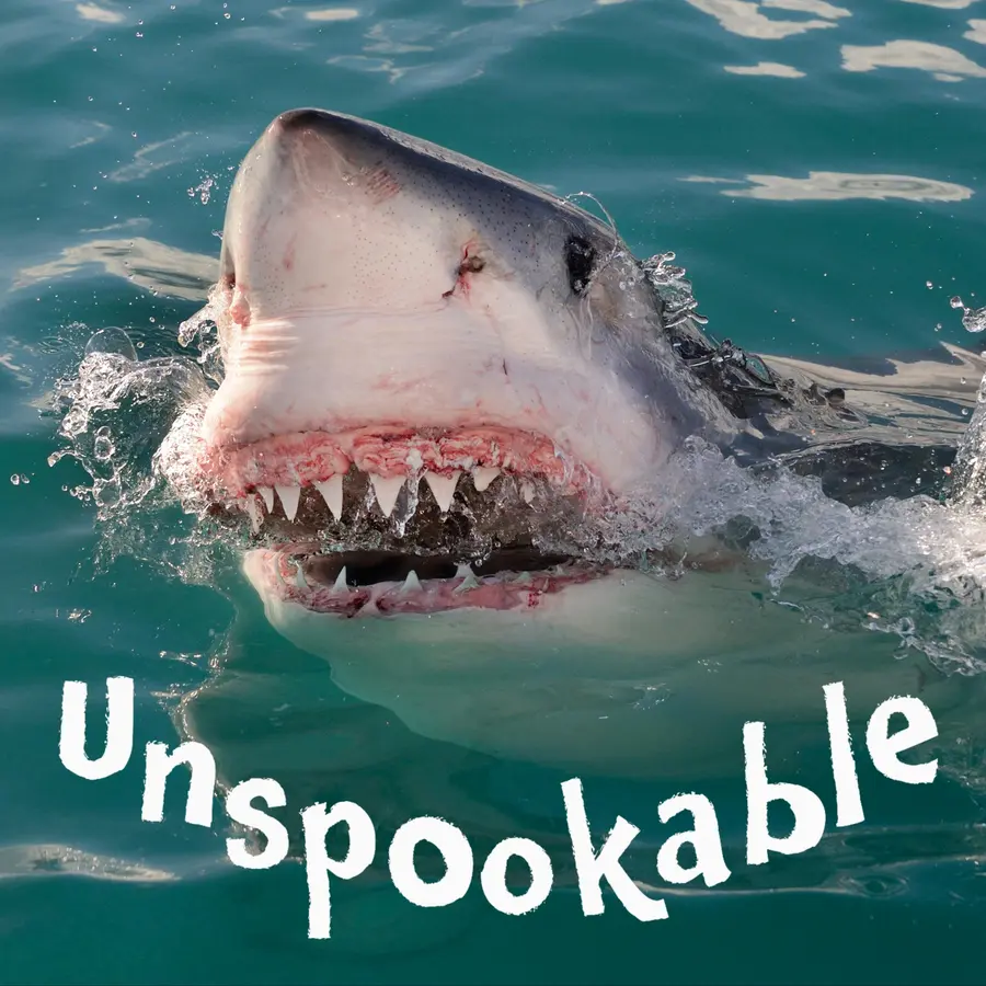 Unspookable