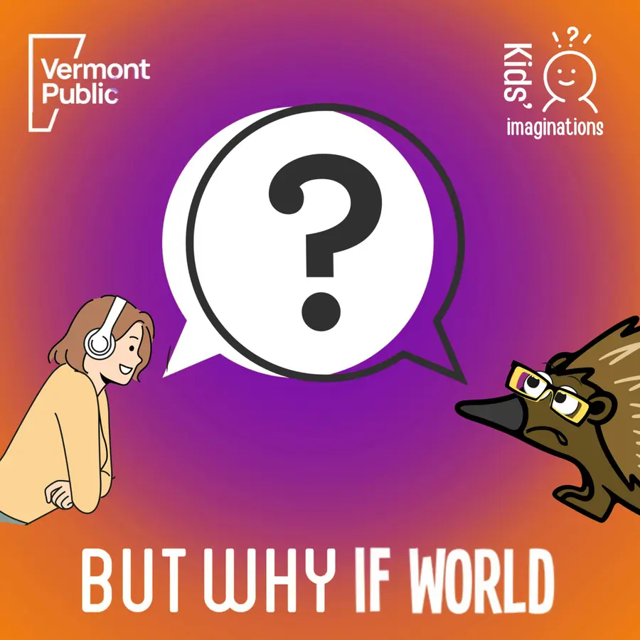 What If World - Stories for Kids