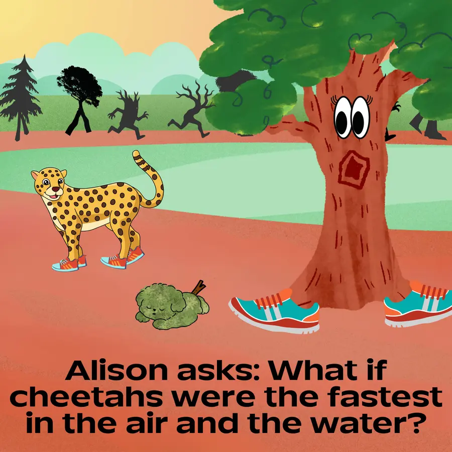 What If World - Stories for Kids