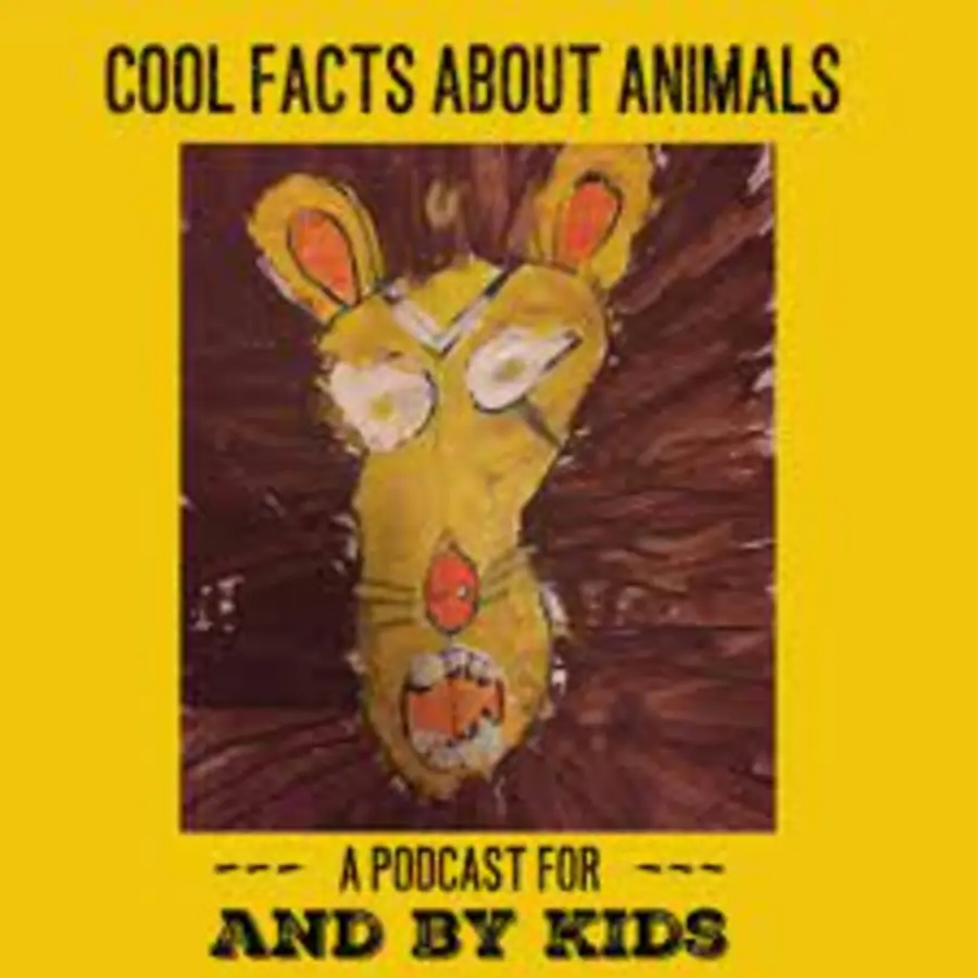 What If World - Stories for Kids