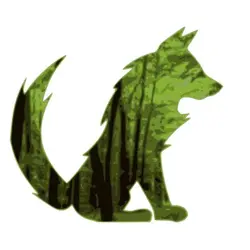Cici asks: What if tigers lost their stripes?