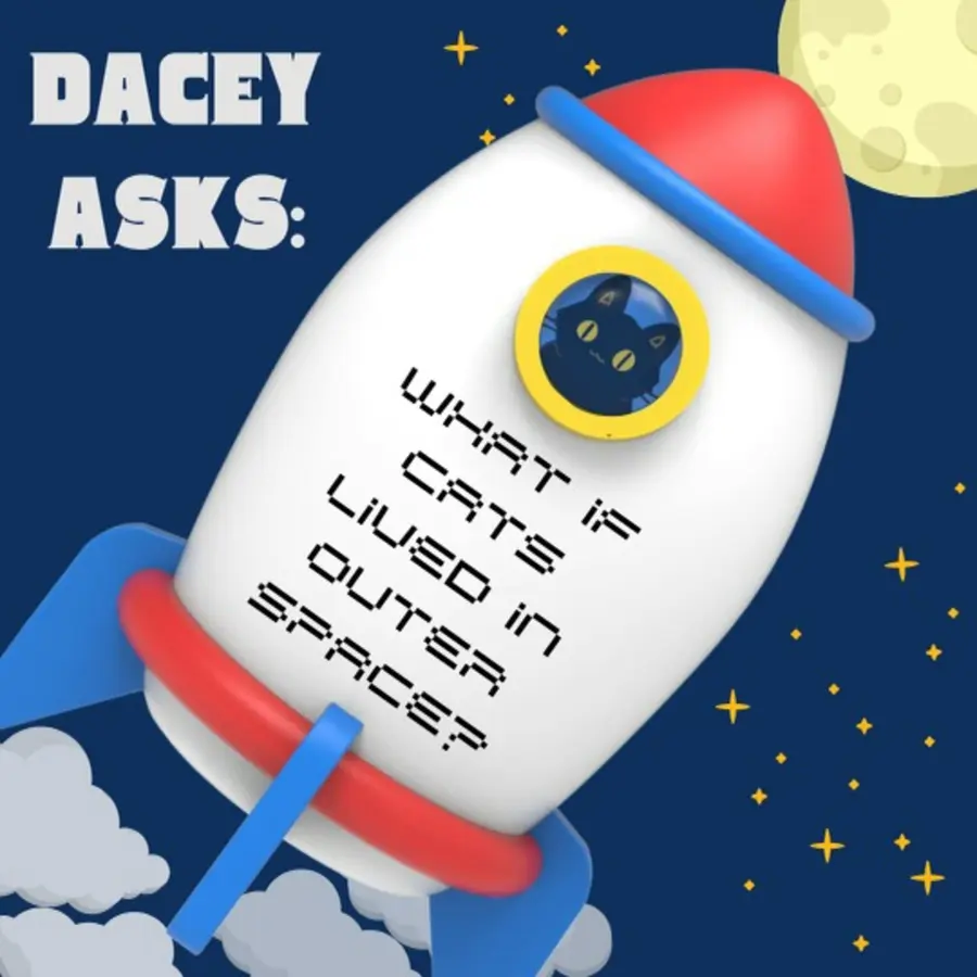 What If World - Stories for Kids