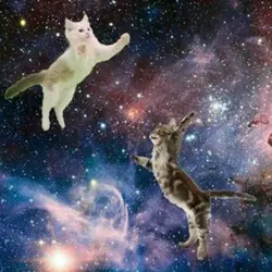 Ian asks: What if cats are rocket ships?