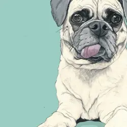 Kylie asks: What if cats ruled the world?