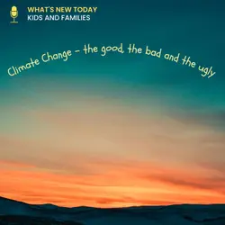 Climate Change in 2022 - Quick wrap of the floods, the pollution and how cities around the world are coping with it