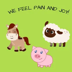 Epi 71: Wildlife - Why lobsters, horses, pigs and octopuses feel more emotion than we think