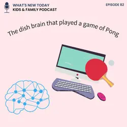 Epi 82: How a video game Pong pits itself against an artificial brain