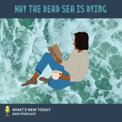 Epi 86: Why the Dead Sea is really dying?