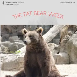 S2 E24: Fat Bear Week - a contest in Alaska - why is everyone so fond of this?