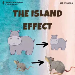S2 E4: Wildlife: What is the Island Effect?