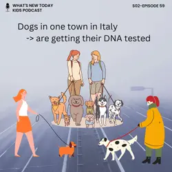 S2 E59: 20 questions Game: Dogs in an Italian town are getting their DNA tested - Why?
