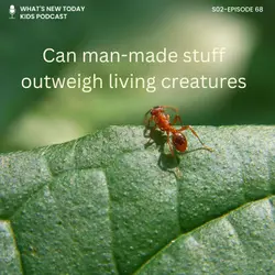 S2 E68: Can man-made stuff outweigh living creatures?