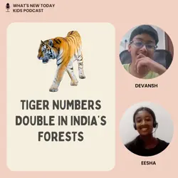 S3 E1: Tigers double in the last decade in India - what other countries can learn from India